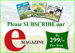 Subscribe to Eruvaaka e-Magazine