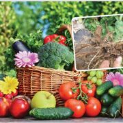 Horticulture